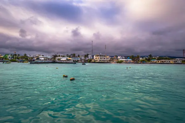 Galápagos Szigetek 2017 Augusztus Kikötő Puerto Ayora Santa Cruz Szigetén — Stock Fotó
