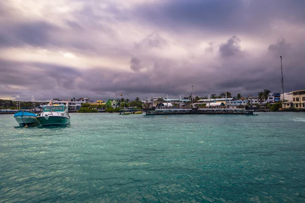 Wyspy Galapagos Sierpnia 2017 Port Puerto Ayora Santa Cruz Island — Zdjęcie stockowe