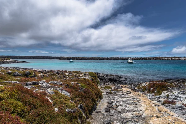 Galápagos-szigetek - 2017. augusztus 24.: Táj Plaza Sur isla — Stock Fotó