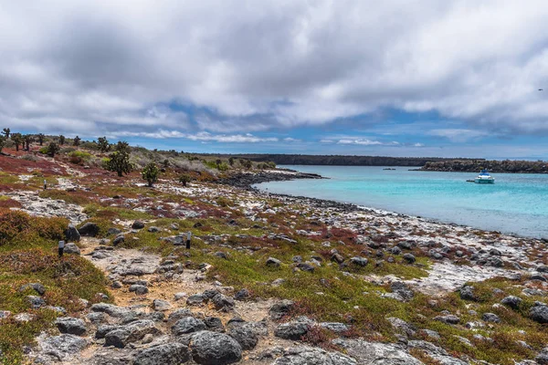 Galapagos Inseln August 2017 Landschaft Von Plaza Sur Island Galapagos — Stockfoto