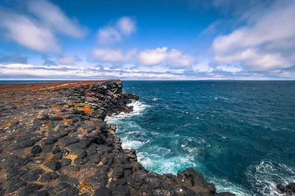 Islas Galápagos - 24 de agosto de 2017: Costa de la Isla Plaza Sur , —  Fotos de Stock