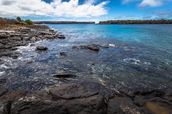 Galapagos Adaları - 24 Ağustos 2017: Yaban hayatı pl sahil