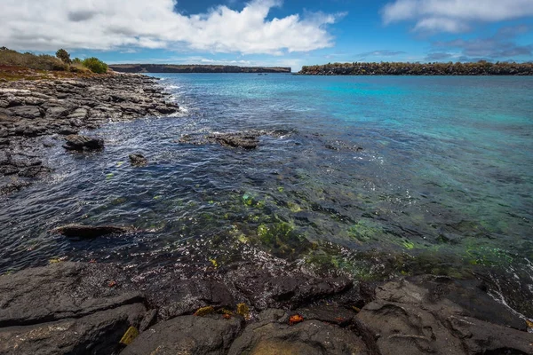 Galapagos Eilanden Augustus 2017 Wildlife Van Kust Provincie Plaza Sur — Stockfoto