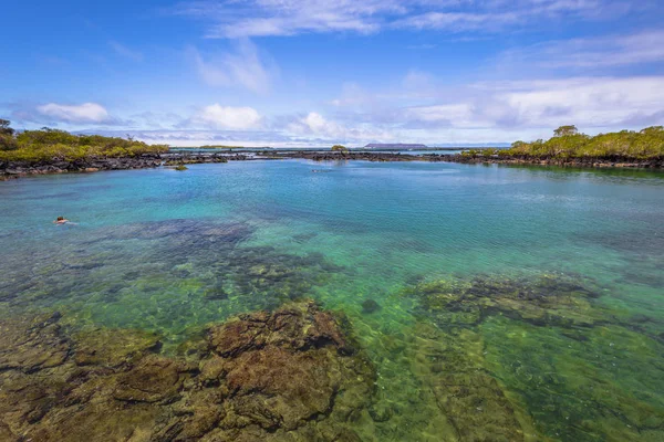 Galapagos Adaları - 25 Ağustos 2017: Concha Perla Lagoon Isabela Adası, Galapagos Adaları, Ekvador
