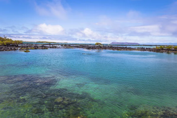 Galapagos Adaları - 25 Ağustos 2017: Concha Perla Lagoon Isabela Adası, Galapagos Adaları, Ekvador
