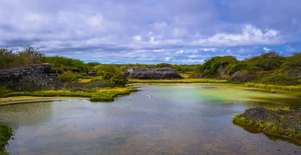 Galapagos Adaları - 25 Ağustos 2017: Galapagos Adaları, Ekvador