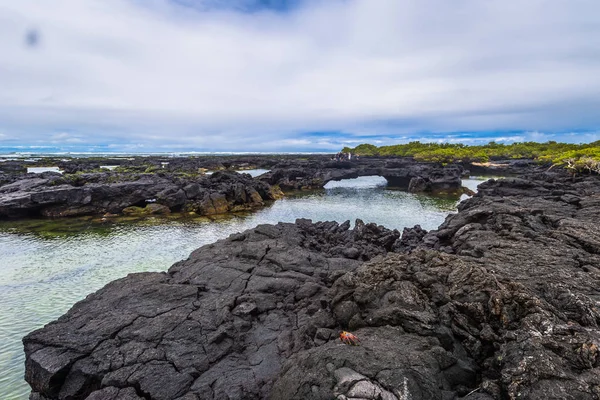 Galapagos Inseln August 2017 Landschaft Der Lavatunnel Der Insel Isabela — Stockfoto