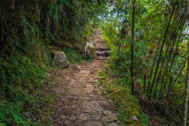 Inca Trail, Peru - 03 Ağustos 2017: Tabiat Manzarası Inca t