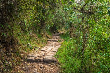 Inca Trail, Peru - 03 Ağustos 2017: Güneş kapısı girişine 