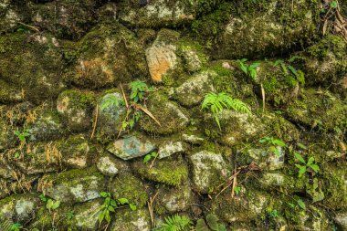 Inca Trail, Peru - 03 Ağustos 2017: Inca doku duvar Inca Trail, Peru