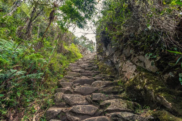 Inca Trail, Peru - 03 Ağustos 2017: Tabiat Manzarası Inca t
