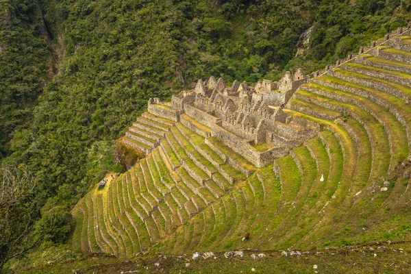 Inca Trail Περού Αυγούστου 2017 Αρχαία Ερείπια Του Winay Wayna — Φωτογραφία Αρχείου