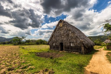 Vinales, Küba - 28 Mart 2016: Tütün Çiftlik evi Vina
