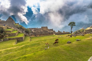 Machu Picchu, Peru - 04 Ağustos 2017: Machu PICC, Antik şehir