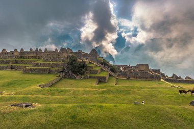 Machu Picchu, Peru - 04 Ağustos 2017: Machu PICC, Antik şehir