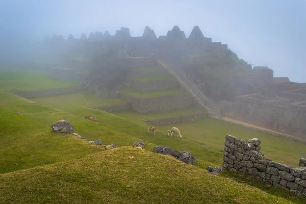 Machu Picchu, Peru - August 04, 2017: Ancient City of Machu Picc — Stock Photo, Image