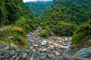 Manu Milli Parkı, Peru - 05 Ağustos 2017: Jungle lodge Manu Milli Parkı, Peru bir nehir
