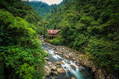 Manu Milli Parkı, Peru - 05 Ağustos 2017: Jungle lodge Manu Milli Parkı, Peru bir nehir