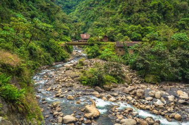 Manu Milli Parkı, Peru - 05 Ağustos 2017: Jungle lodge Manu Milli Parkı, Peru bir nehir