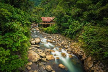 Manu Milli Parkı, Peru - 05 Ağustos 2017: Jungle lodge Manu Milli Parkı, Peru bir nehir