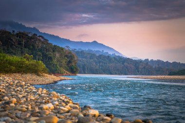 Manu Milli Parkı, Peru - 06 Ağustos 2017: Manu Milli Parkı, Peru Madre de Dios Nehri kıyısında
