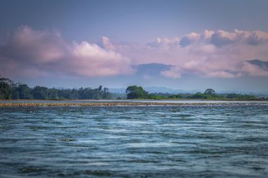 Manu Milli Parkı, Peru - 06 Ağustos 2017: Manu Milli Parkı, Peru Madre de Dios Nehri kıyısında