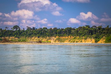 Manu Milli Parkı, Peru - 06 Ağustos 2017: Peyzaj Manu Milli Parkı, Peru Amazon yağmur ormanı