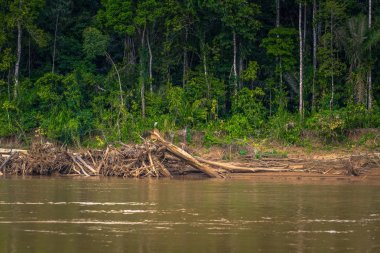Manu Milli Parkı, Peru - 06 Ağustos 2017: Peyzaj Manu Milli Parkı, Peru Amazon yağmur ormanı