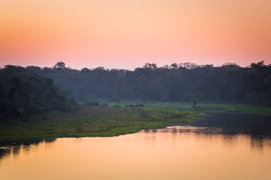 Manu Milli Parkı, Peru - 07 Ağustos 2017: Manu Milli Parkı, Peru Amazon yağmur ormanları günbatımında