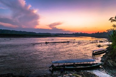Manu Milli Parkı, Peru - 08 Ağustos 2017: Harbor Boca Manu Köyü Amazon yağmur ormanlarında Manu Milli Parkı, Peru