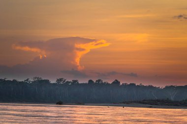 Manu Milli Parkı, Peru - 09 Ağustos 2017: Sunrise Amazon yağmur ormanlarında Manu Milli Parkı, Peru