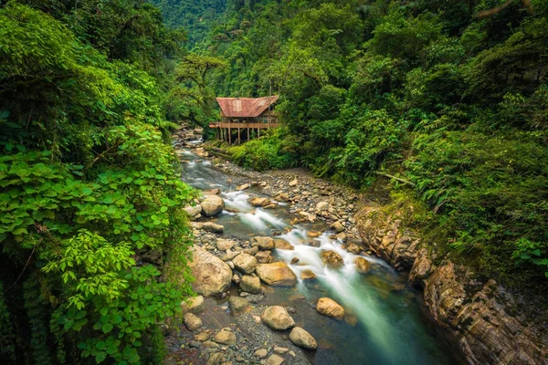 Manu Nationalpark Peru August 2017 Eine Dschungel Lodge Einem Fluss — Stockfoto
