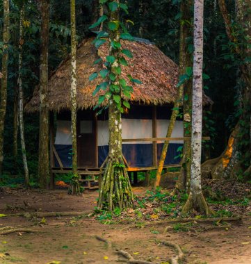Manu Milli Parkı, Peru - 08 Ağustos 2017: Lodges of Cocha Otorongo Amazon yağmur ormanlarında Manu Milli Parkı, Peru
