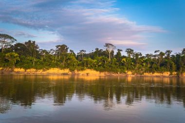 Manu Milli Parkı, Peru - 09 Ağustos 2017: Peyzaj Manu Milli Parkı, Peru Amazon yağmur ormanı