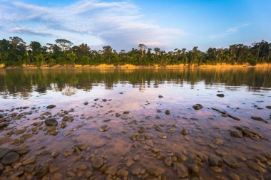 Manu Milli Parkı, Peru - 09 Ağustos 2017: Peyzaj Manu Milli Parkı, Peru Amazon yağmur ormanı