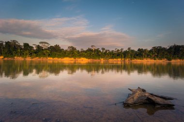 Manu Milli Parkı, Peru - 09 Ağustos 2017: Peyzaj Manu Milli Parkı, Peru Amazon yağmur ormanı