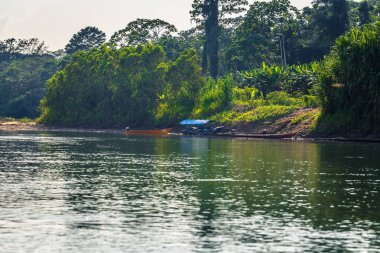 Manu Milli Parkı, Peru - 09 Ağustos 2017: Peyzaj Manu Milli Parkı, Peru Amazon yağmur ormanı