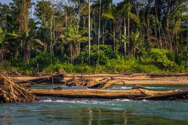 Manu Milli Parkı, Peru - 09 Ağustos 2017: Peyzaj Manu Milli Parkı, Peru Amazon yağmur ormanı