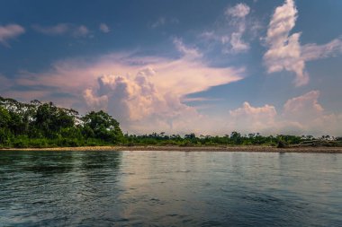 Manu Milli Parkı, Peru - 09 Ağustos 2017: Peyzaj Manu Milli Parkı, Peru Amazon yağmur ormanı