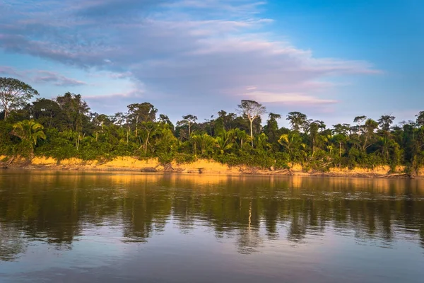 秘鲁国家公园 2017年8月09日 秘鲁国家公园亚马逊雨林景观 — 图库照片