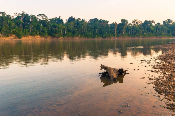 Manu National Park Peru August 2017 Landscape Amazon Rainforest Manu — Stock Photo, Image