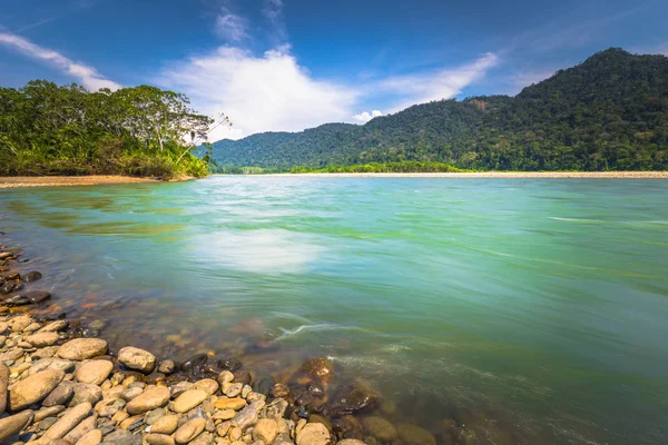 Manu Nationalpark Peru August 2017 Landschaft Des Amazonischen Regenwaldes Des — Stockfoto