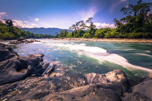 Manu Nationalpark Peru August 2017 Landschaft Des Amazonischen Regenwaldes Des — Stockfoto