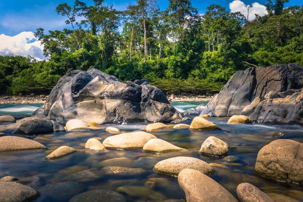 Manu Nationalpark Peru August 2017 Landschaft Des Amazonischen Regenwaldes Des — Stockfoto