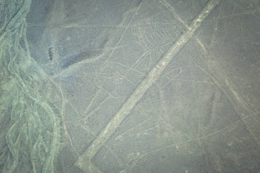 Nazca, Peru - 14 Ağustos 2017: Balina rakam Nazca, Peru'daki Nazca çizgileri