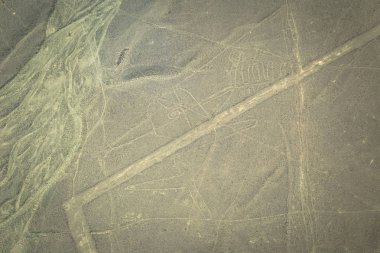 Nazca, Peru - 14 Ağustos 2017: Balina rakam Nazca, Peru'daki Nazca çizgileri