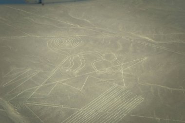 Nazca, Peru - 14 Ağustos 2017: Maymun figürü Nazca, Peru'daki Nazca çizgileri