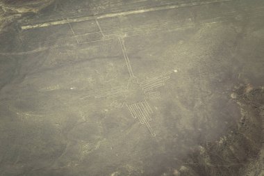 Nazca, Peru - 14 Ağustos 2017: Sinek kuşu figürü Nazca, Peru'daki Nazca çizgileri