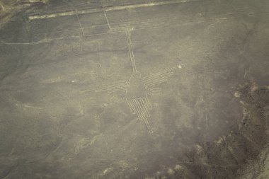 Nazca, Peru - 14 Ağustos 2017: Sinek kuşu figürü Nazca, Peru'daki Nazca çizgileri