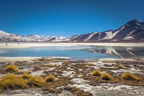 Landskap av gröna lagunen i Eduardo Avaroa National Park, B — Stockfoto